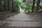 Nature Stairway Leading Down to Bridge