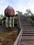 Nature, steps leading to mangrove birdwatching hide