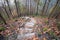 Nature study trail in the forest