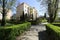 Nature surrounds buildings of housing estate