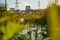 Nature with swamp or small lake, greenery all around and industrial landscape in the background