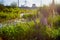 Nature with swamp or small lake, greenery all around and industrial landscape in the background