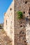 Nature takes back old chapel wall on Gramvousa Island