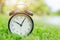 Nature times clock outdoor green nature