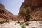 Nature in Todra Gorge, Morocco