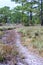 Nature trail for cycling and walking in Phu Kradueng national park, Loei Thailand