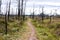 Nature trail for cycling and walking in Phu Kradueng national park, Loei Thailand