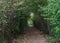 Nature trail at Fernhill Wetlands, Oregon