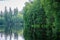 Nature trail - nature reserve Kladska peat bogs in the Region of Karlovy Vary in Czech Republic. Selective focus