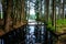 Nature trail - nature reserve Kladska peat bogs in the Region of Karlovy Vary in Czech Republic. Selective focus