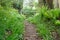 Nature trail, Whiteford, Gower Peninsula , Wales, UK