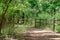 Nature Trail with wooden fences in Oklahoma City