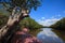 Nature trails bridge in Mangrove forest with blue sky