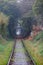Nature train tunnel