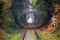 Nature train tunnel