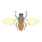 Nature tsetse fly icon cartoon vector. Africa insect