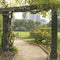 Nature or urban background with view of Hibiya park in Tokyo