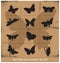 Nature various symbolical butterflies set