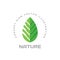 Nature vector logo design in flat style. Green leaf creative sign. Organic product symbol.