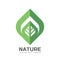 Nature vector logo template concept illustration in flat style. Green leaf creative sign. Design element