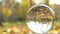 Nature Video Scenario scene close up in crystal ball with backgorund of colorful maple leaf and other yellow leaves from
