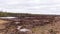 Nature view of a bog with a peat digging site in a swampy area with a wooden boardwalk and a sawn area for peat digging