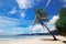 Nature view of nice tropical summer beach with palms around