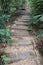 Nature walkway in forest at country Thailand