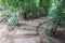 Nature walkway in forest at country Thailand