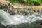 Nature with waterfall and stream in Itacare