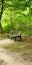 Nature, weg, park,  loneliness, bench