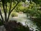Nature, whater and relax in San Antonio,Texas,