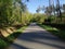 Nature woods sky street forest