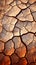 Natures alarm Cracked, dried soil in desert speaks of climate changes severity