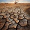 Natures alarm Cracked, dried soil in desert speaks of climate changes severity