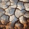 Natures alarm Cracked, dried soil in desert speaks of climate changes severity