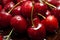 Natures candy a luscious, ripe red cherry, bursting with flavor