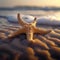 Natures charm Star shaped starfish enhances the beauty of sandy shores