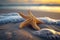 Natures charm Star shaped starfish enhances the beauty of sandy shores