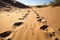 Natures diary footprints mark a sandy canvas, a silent narrative