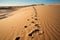 Natures diary footprints mark a sandy canvas, a silent narrative