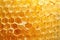 Natures Golden Symmetry, Mesmerizing Close-Up View of a Honeycomb