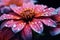 Natures grace Botanical flower petal with water drop, romantic vibes