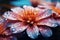 Natures grace Botanical flower petal with water drop, romantic vibes