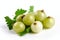 Natures Little Gems: Gooseberries on a White Background