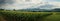 Natures masterpiece: panoramic view of corn fields during the rainy season