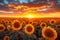 Natures masterpiece Sunflower field, dramatic sunset sky, captivating beauty