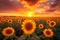 Natures masterpiece Sunflower field, dramatic sunset sky, captivating beauty