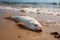 Natures melancholy lifeless fish on the sandy beach with waves