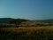 Natures mountain ranges with trees and long dry grass